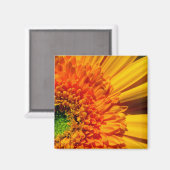 Aimant à marmite orange (Recto/Verso)