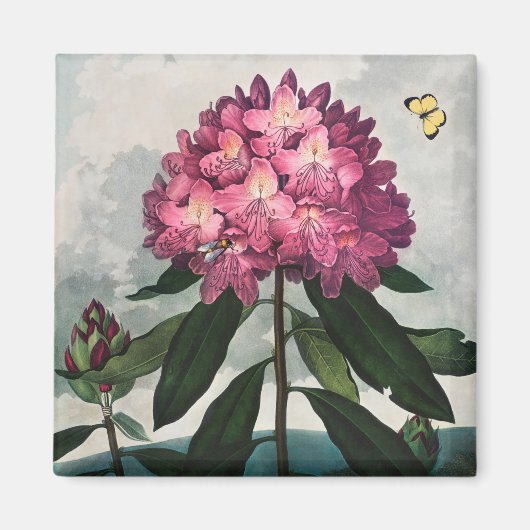 Aimant à motifs floraux (Devant)