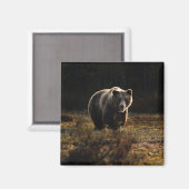 Aimant à ours (Recto/Verso)