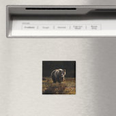Aimant à ours (In Situ (Lave-vaisselle))