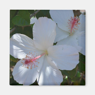 Aimant à parfum floral