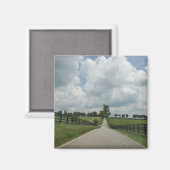 Aimant à pâturage bleu du Kentucky (Recto/Verso)