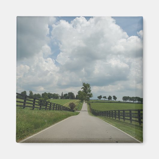 Aimant à pâturage bleu du Kentucky (Devant)