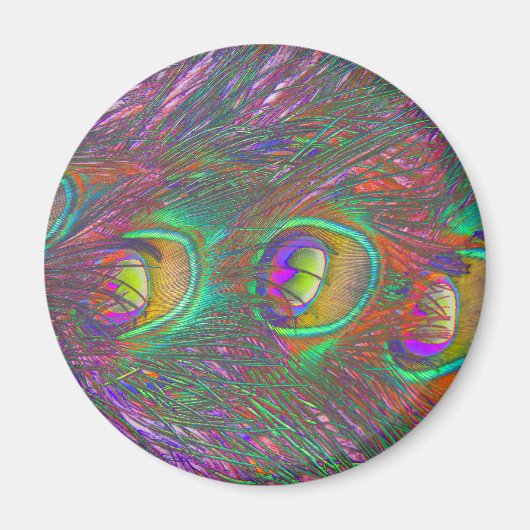 Aimant à plumes de paon de Noël (Devant)