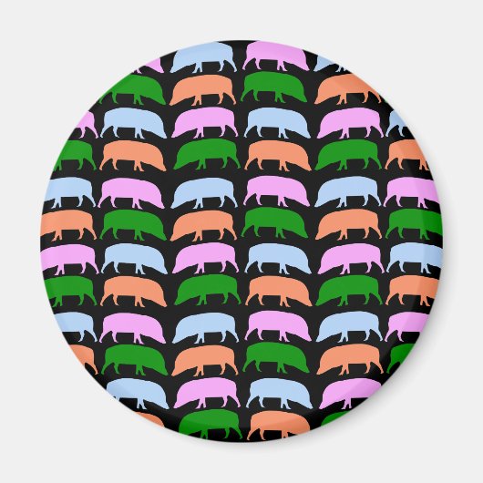 Aimant à pores multicolores (Devant)