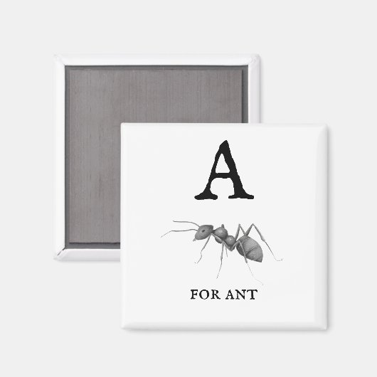 Aimant "A" pour Ant (Recto/Verso)