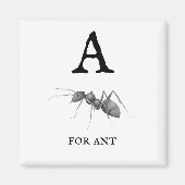 Aimant "A" pour Ant (Devant)
