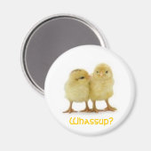 AIMANT À QUOI CHICK ? (Recto/Verso)