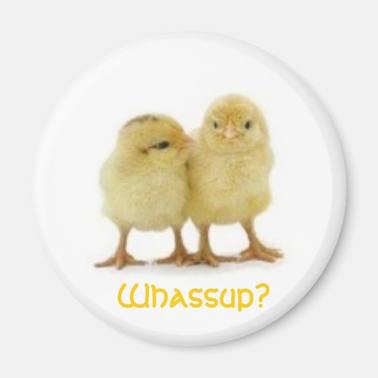 AIMANT À QUOI CHICK ? (Devant)