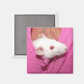 Aimant à rat (Recto/Verso)