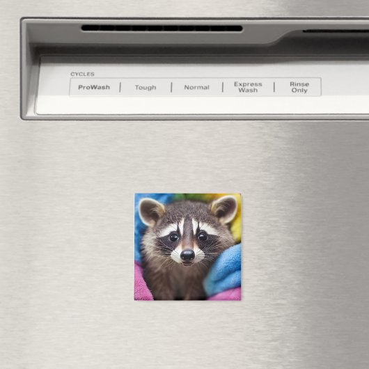 Aimant à raton laveur pour bébé - Critère arc-en-c (In Situ (Lave-vaisselle))