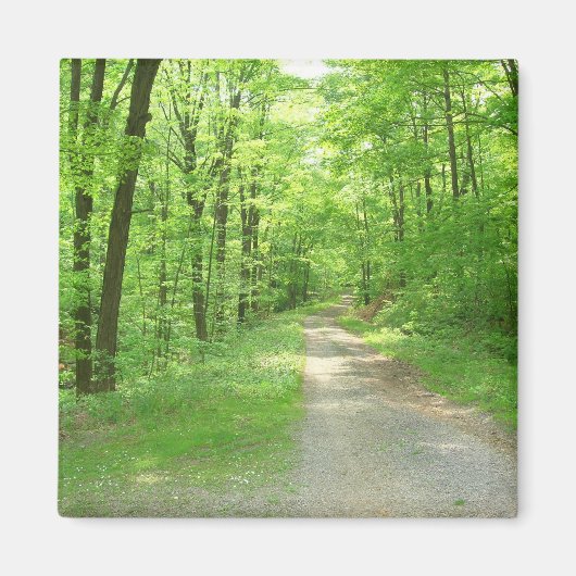 Aimant à sept ressorts (Devant)