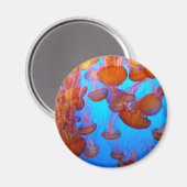 Aimant à soupe de gelée (Recto/Verso)