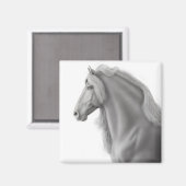 Aimant à stallion friésien (Recto/Verso)