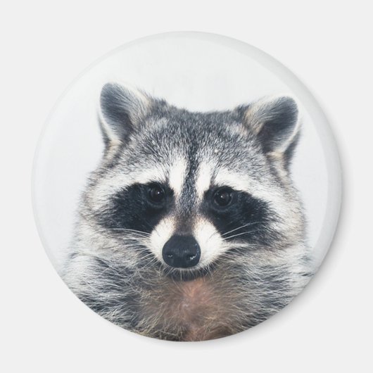 aimant à sucre (Devant)