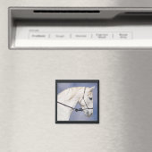 Aimant à tête de cheval (In Situ (Lave-vaisselle))