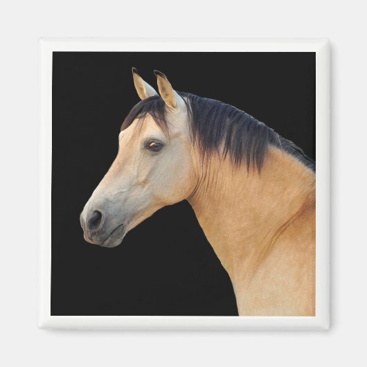 Aimant à tête de cheval (Devant)