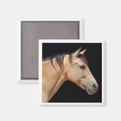 Aimant à tête de cheval (Recto/Verso)