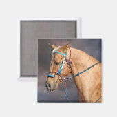 Aimant à tête de cheval (Recto/Verso)