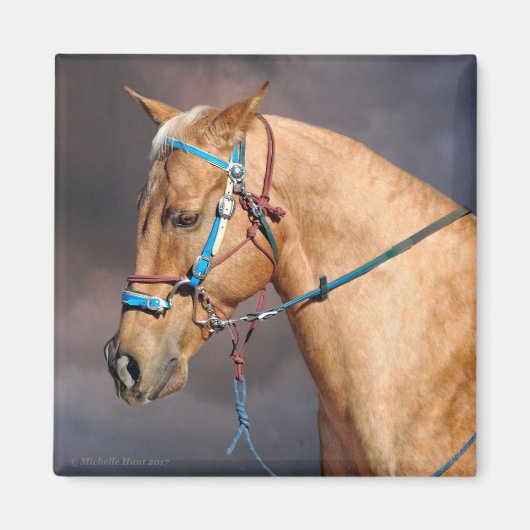 Aimant à tête de cheval (Devant)