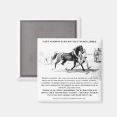Aimant "A Thoroughbred in Training" (Recto/Verso)