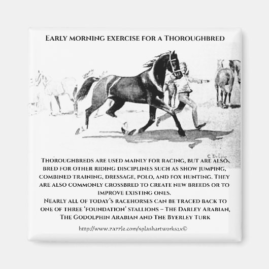 Aimant "A Thoroughbred in Training" (Devant)