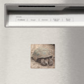 Aimant à tortue (In Situ (Lave-vaisselle))