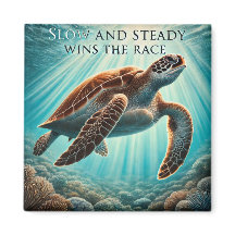 Aimant à tortue lente et stable