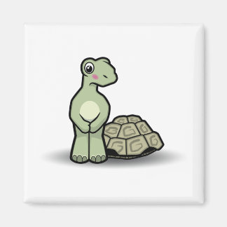 Aimant à tortue sans coquille