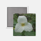 Aimant à trillium blanc (Recto/Verso)