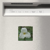 Aimant à trillium blanc (In Situ (Lave-vaisselle))