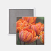 Aimant à tulipe orange (Recto/Verso)