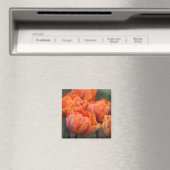 Aimant à tulipe orange (In Situ (Lave-vaisselle))