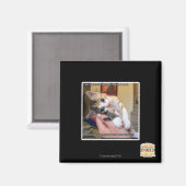 Aimant Aaws (Recto/Verso)