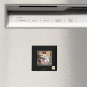 Aimant Aaws (In Situ (Lave-vaisselle))