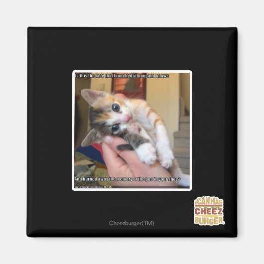 Aimant Aaws (Devant)