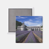 Aimant Abbaye de Senanque, Gordes, Vaucluse, Provence, (Recto/Verso)