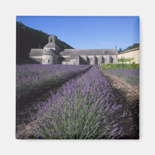 Aimant Abbaye de Sénanque, Gordes, Vaucluse, Provence,