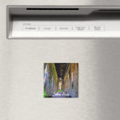 Aimant Abbaye de Tintern, Monastère cistercien, Pays de G (In Situ (Lave-vaisselle))