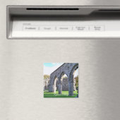 AIMANT ABBAYE PAYS DE GALLES DE CYMER (In Situ (Lave-vaisselle))