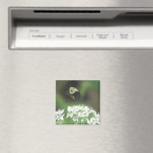 Aimant Abee (In Situ (Lave-vaisselle))