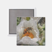 Aimant abeille (Recto/Verso)