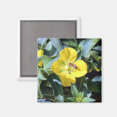 Aimant Abeille affairée (Recto/Verso)