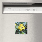 Aimant Abeille affairée (In Situ (Lave-vaisselle))