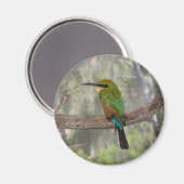 Aimant Abeille arc-en-ciel, Australie (Recto/Verso)