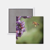 Aimant Abeille dans l'aimant en vol (Recto/Verso)
