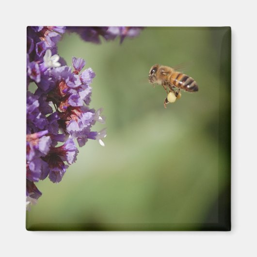Aimant Abeille dans l'aimant en vol (Devant)