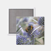 Aimant Abeille dans le chardon (Recto/Verso)