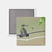 Aimant Abeille de colibri et de miel (Recto/Verso)