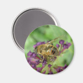 Aimant Abeille de miel et fleur violette (Recto/Verso)
